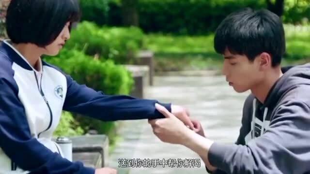 非诚勿扰宝马女起诉离婚